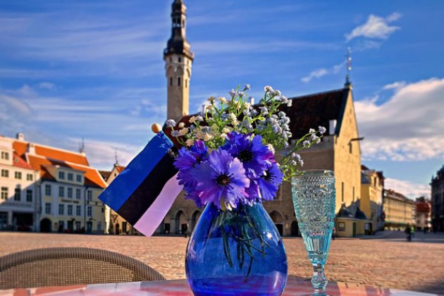 Blumen vor dem Rarhaus in Tallinn