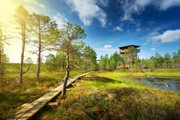 Verträumte Landschaften im Lahemma Nationalpark