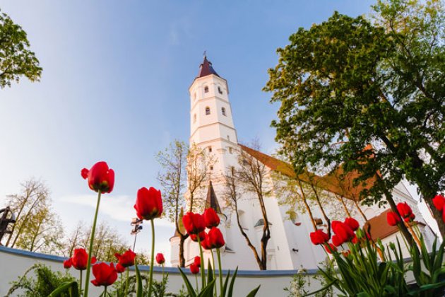 Peter- und Paulskirche in Siauliai