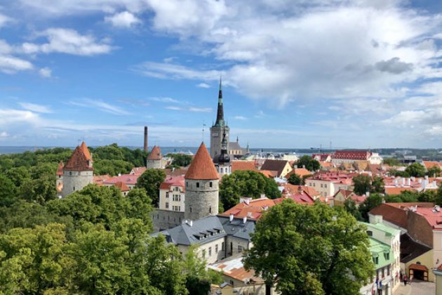 Über den Dächern von Tallinn