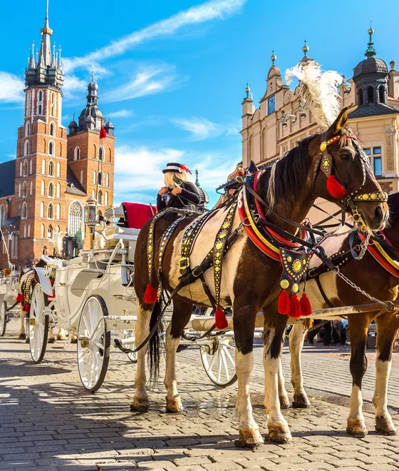 Kutsche auf dem Marktplatz von Krakau