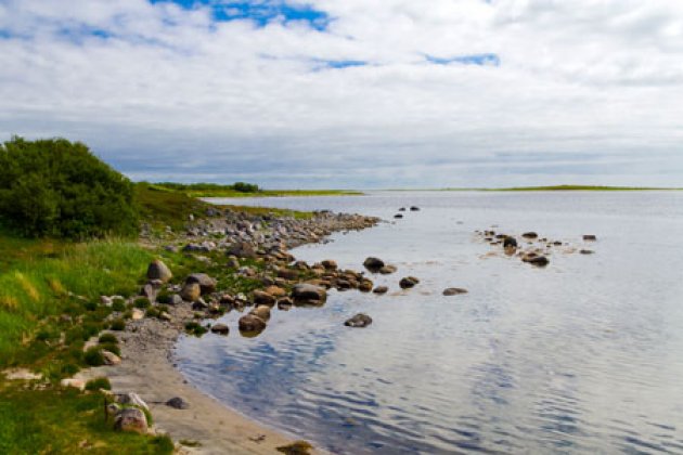 Strand auf der Insel Solowezki