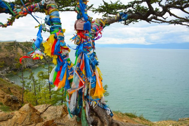 Typisch bunte Bänder der Burjaten am Baum auf der Insel Olchon