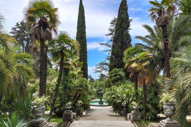 Blick in den botanischen Garten